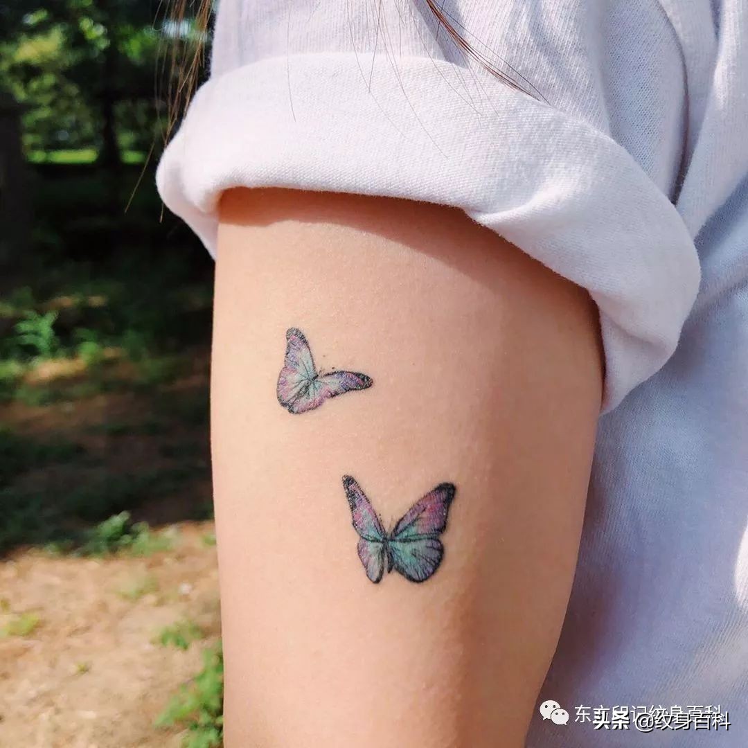 蝴蝶纹身图案代表什么,代表自由的蝴蝶纹身