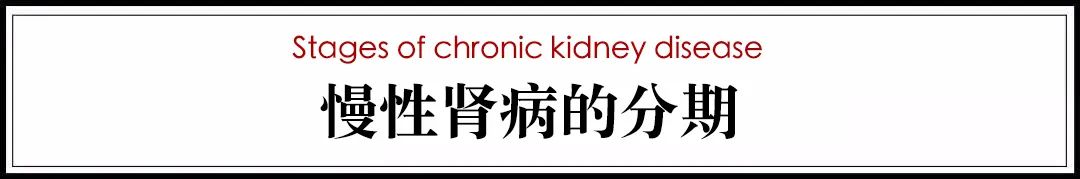 猫病视频,猫肾脏病视频大全