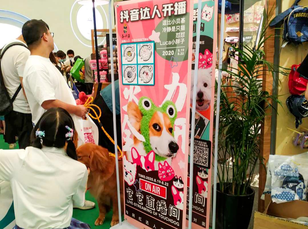 去亚宠展东西很便宜吗,亚宠展攻略快速扫货必备