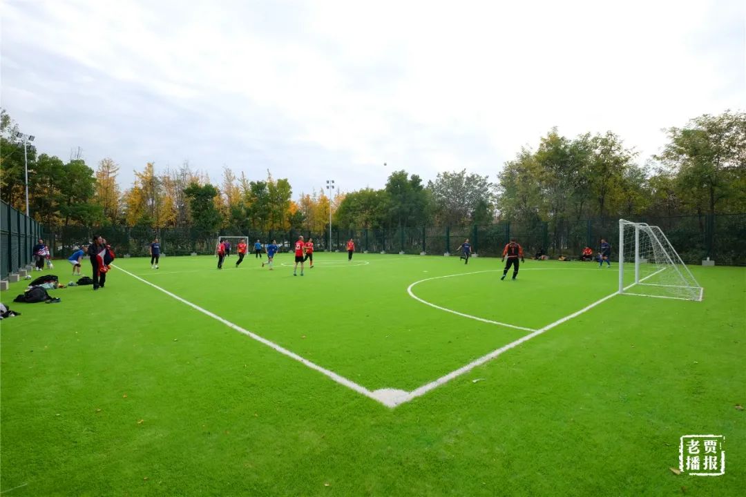 洛阳一大型网红公园免费开放,洛阳湿地公园网红打卡地