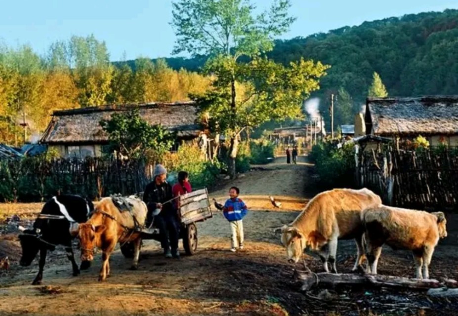 俗语“眉粗眼小福禄少，眉细眼大贫来扰”，是真的吗？