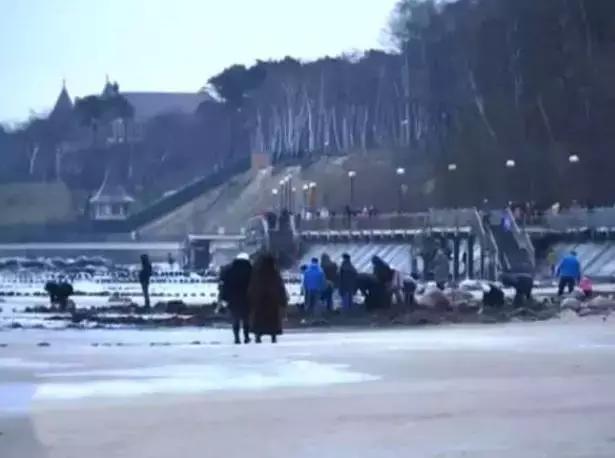 在俄罗斯,琥珀蜜蜡可以随便捡?