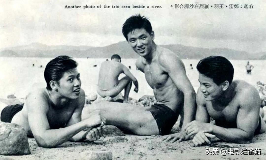 成龙元彪洪金宝刘德华全部电影,刘德华洪金宝成龙一起演的电影