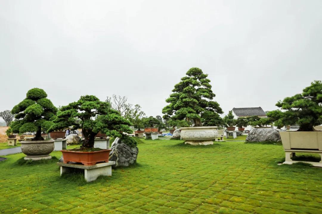 在大山深处幽静绝美的村落,深藏大山中的村落