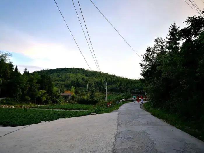 老段和老殷,老段和金段