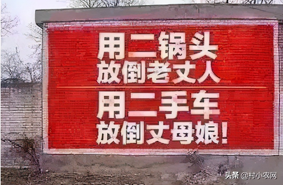 适合农村创业的最新致富项目,8个农村创业致富项目是什么