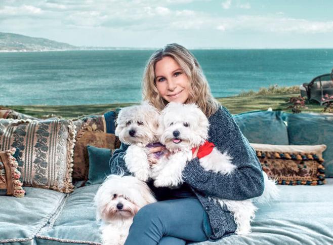 38万可以做什么,38万能做什么