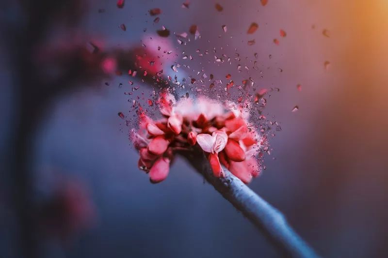 朋友找你借钱不借怎么回答,朋友找你借钱怎么拒绝比较好