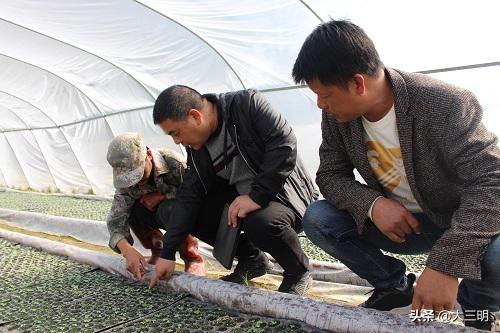 从军营绿到国网绿——一身戎装,一生军魂!致敬三明供电的退役军人