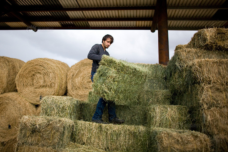 深泉学院是什么档次的学校,美国深泉学院招生条件