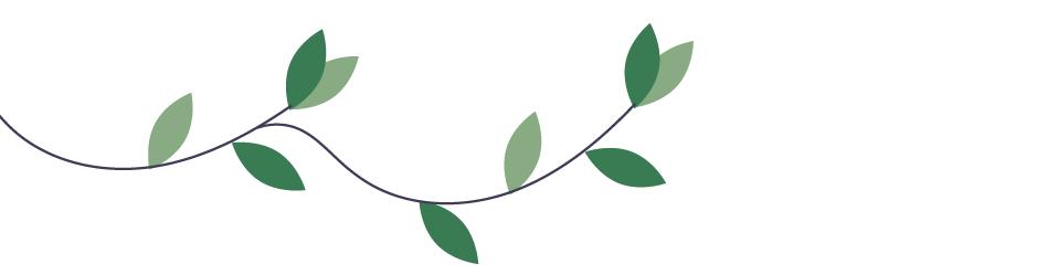 春天的第一杯茶颜悦色奶茶,春天的第一杯竹筒茶