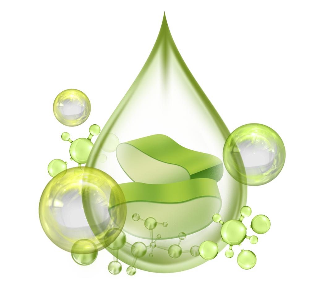 家中的绿植哪些会引起皮肤过敏,家里养的绿植碰了身上痒什么原因