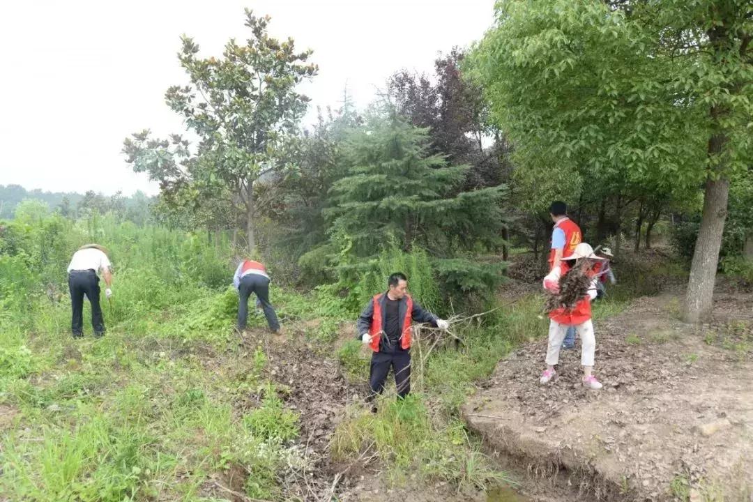 栖霞公路环境整治,栖霞市综合治理