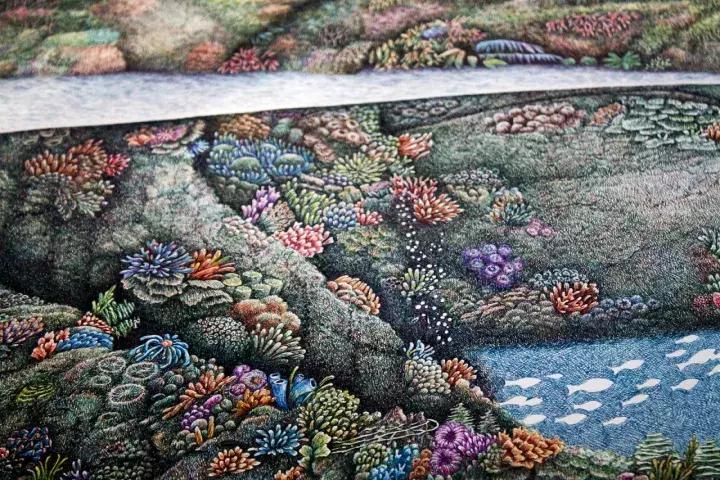 小央美钢笔画视频,极品五大钢笔画简直美爆