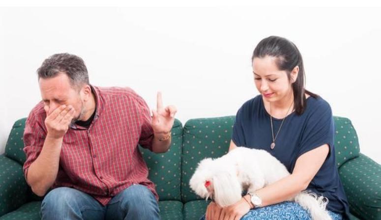 如何正确饲养比熊犬3大注意事项,养比熊犬要注意些什么