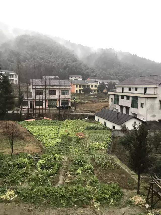 我的家乡被遗忘,我的家乡曾经也很美丽