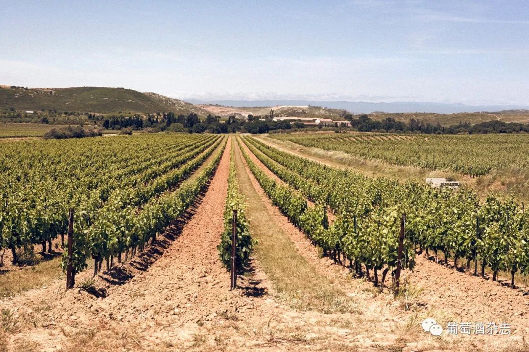 拉菲集团全系列产品图,拉菲集团旗下葡萄酒