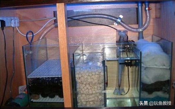 鱼缸换了水鱼怎么办,鱼缸刚换的水就变浑浊怎么回事
