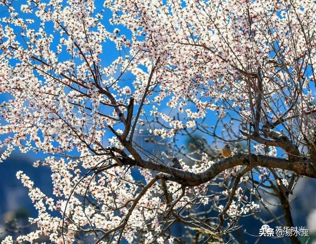 易县好看的视频,易县哪儿的好看