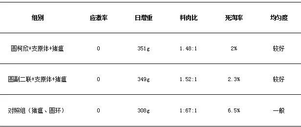 免疫联合治疗的优缺点,一针多防的猪用疫苗可靠吗