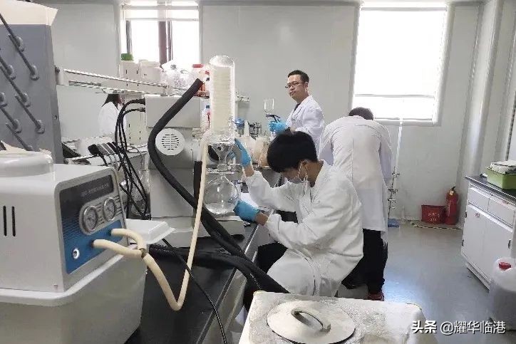 谁说高中生不能参与前沿科研？上海临港耀华学生的深渊极客之旅