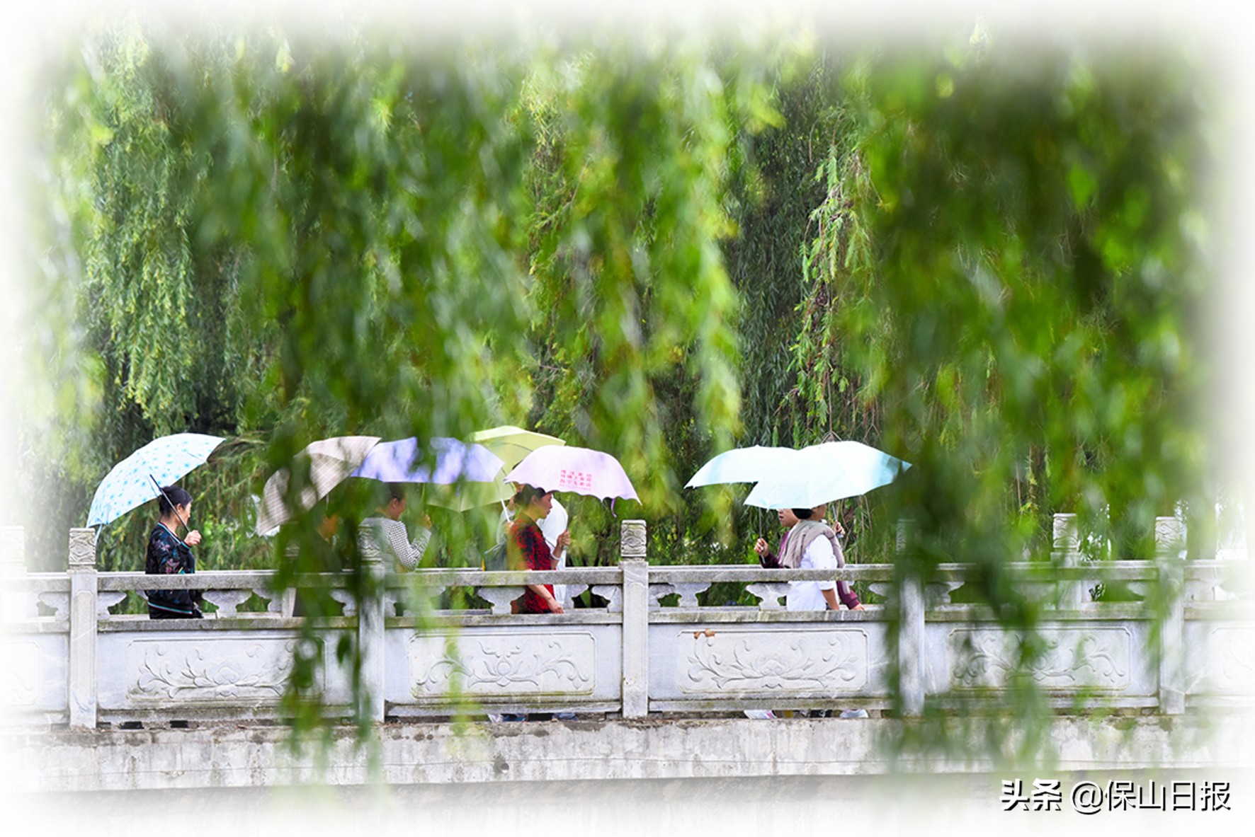 保山：绿水青山牵手“大健康”