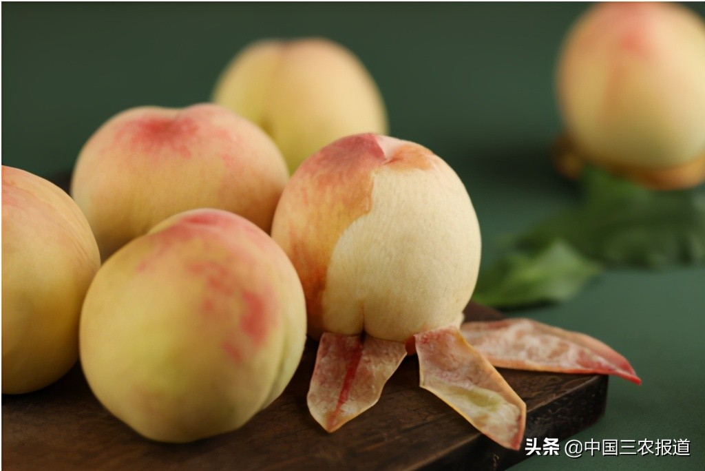 一桃难求!水蜜桃还可以吸着吃?一只能卖80元