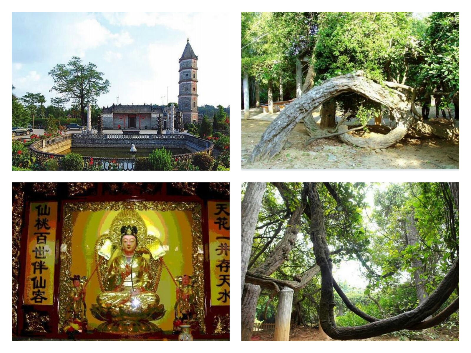 广州增城十大网红打卡地一日游 (增城必去的网红打卡景点)