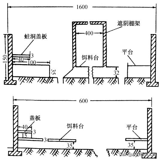 牛蛙的养殖技术及方法简介,牛蛙养殖的最新技术