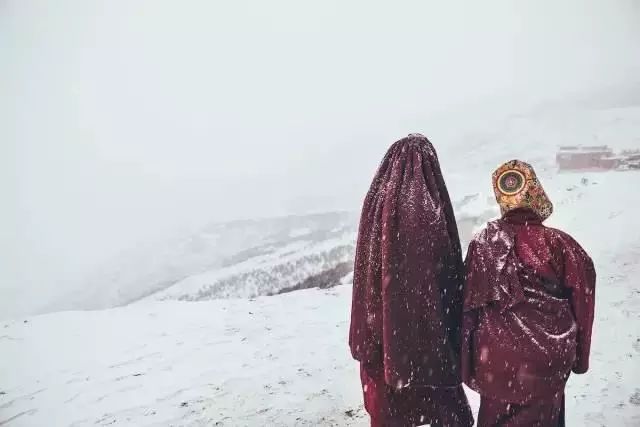 色达下雪了红白交织,色达下雪了图片大全