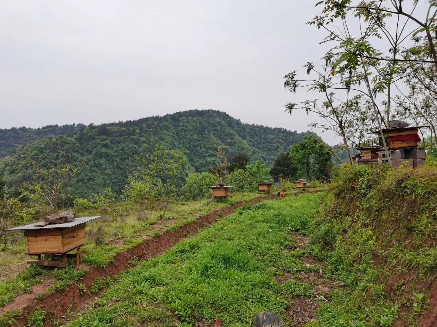 深切怀念敬爱的祖父祖母,看望我的祖母