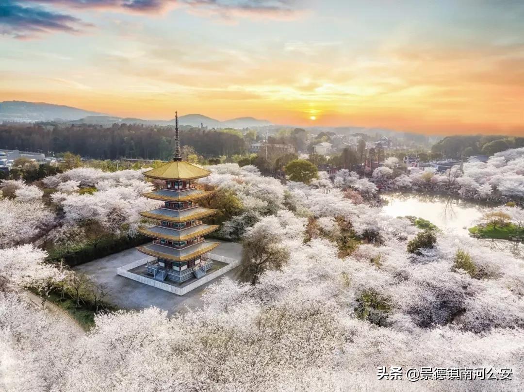 最新战疫感悟,战疫的50个瞬间