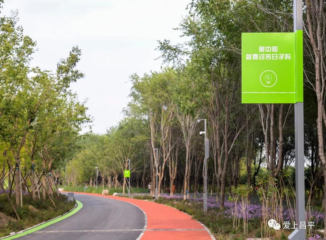 人间最美的旅游地,人间最美四月天去哪里玩