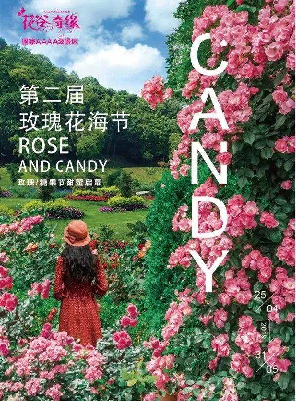 槽糕,是心动的感觉!这个神秘花谷正在悄然绽放!走,去拍照~