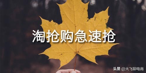 淘抢购报名时间表,极速抢和淘抢购