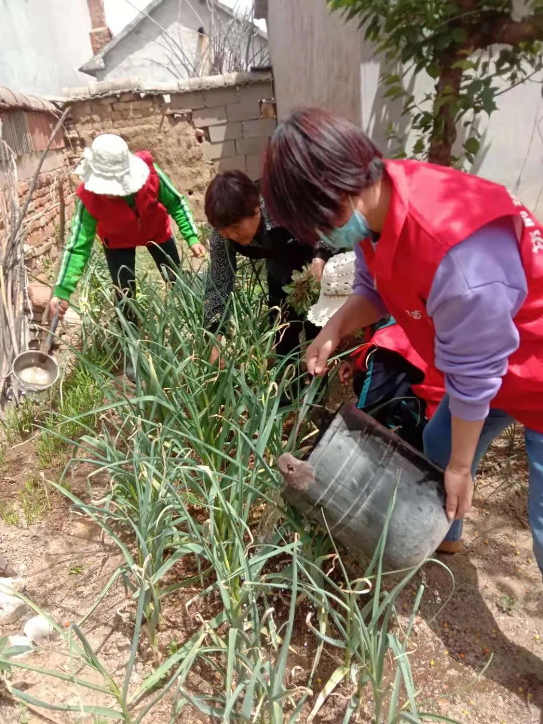 党员志愿服务活动4月,4月份党员开展志愿服务活动内容