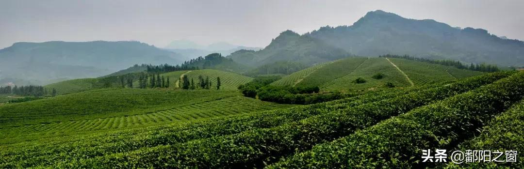 九峰山“春色”撩人丨不给你点颜色看看，你都不知道这里有多美！