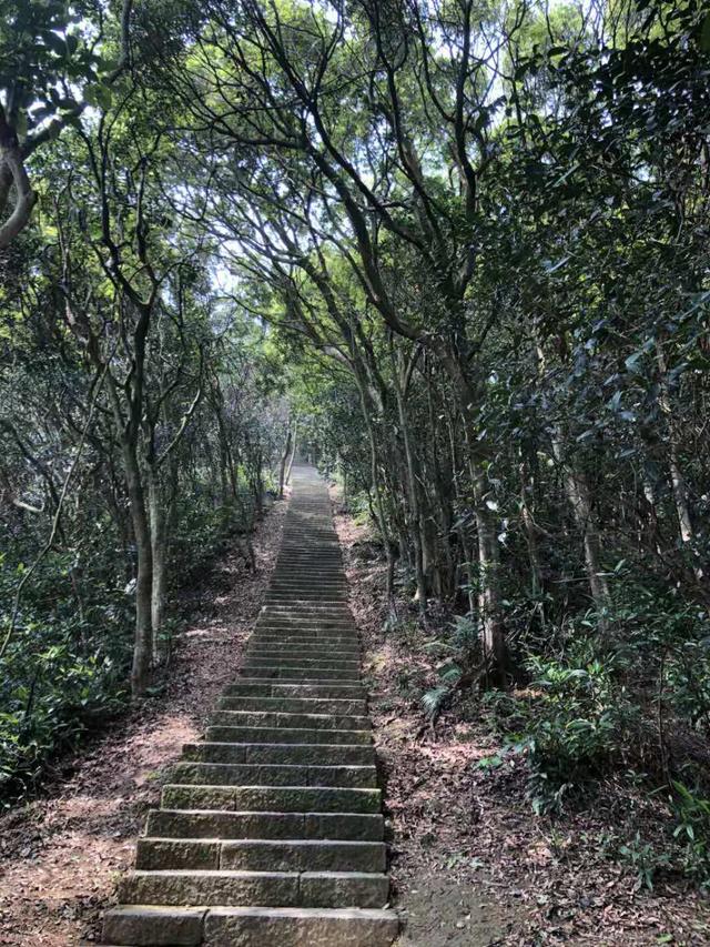 慢性肾衰竭痛风怎么办,痛风和慢性肾脏有关系吗