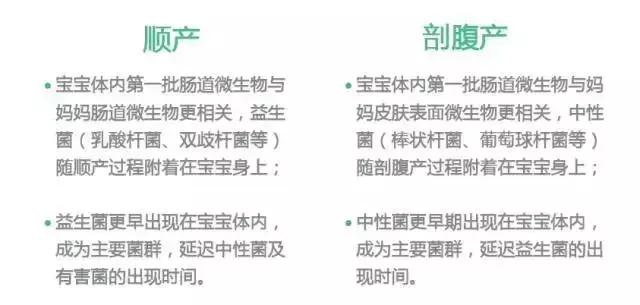 怎么分辨宝宝的粪便才是正常的,新生宝宝粪便辨别