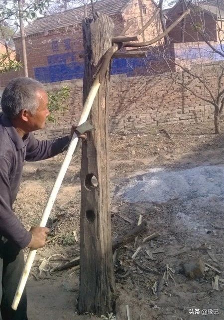 麦收农具,古老麦收农具大全