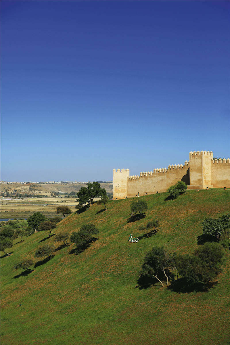 在摩洛哥隐藏于市井的拉巴特花园里，在当地人的回忆和渴望中，我看到了一个真正的摩洛哥