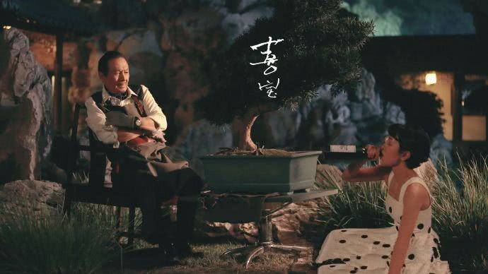 喜宝是谁,喜宝是嘉宝吗