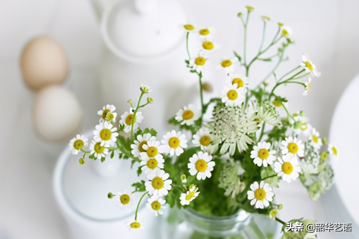 爱情是最不重要的东西,爱情对有的人来说是必需品