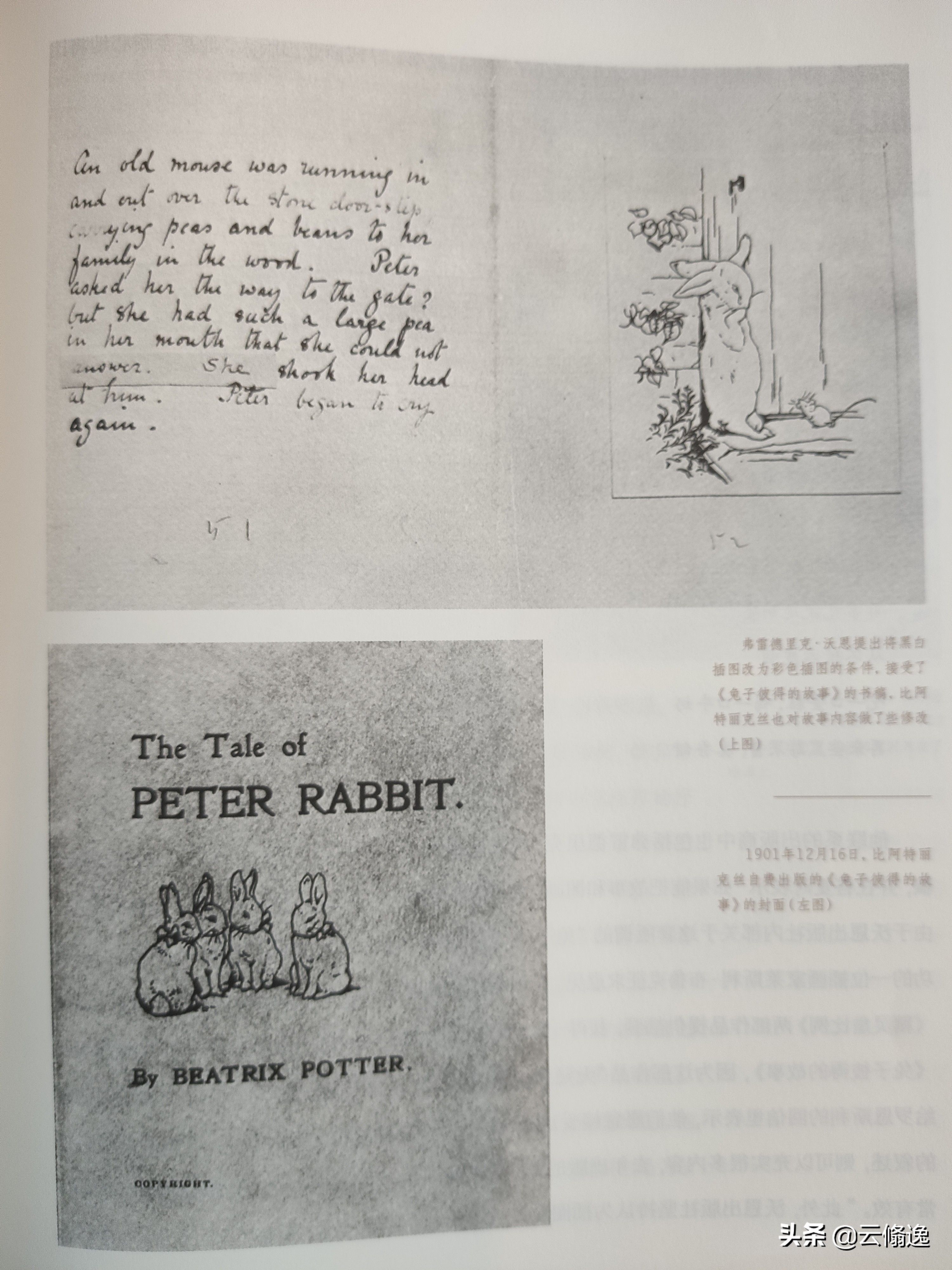 是一个怎样的妈妈，画出了一个一百多年来深受欢迎的彼得兔呢？