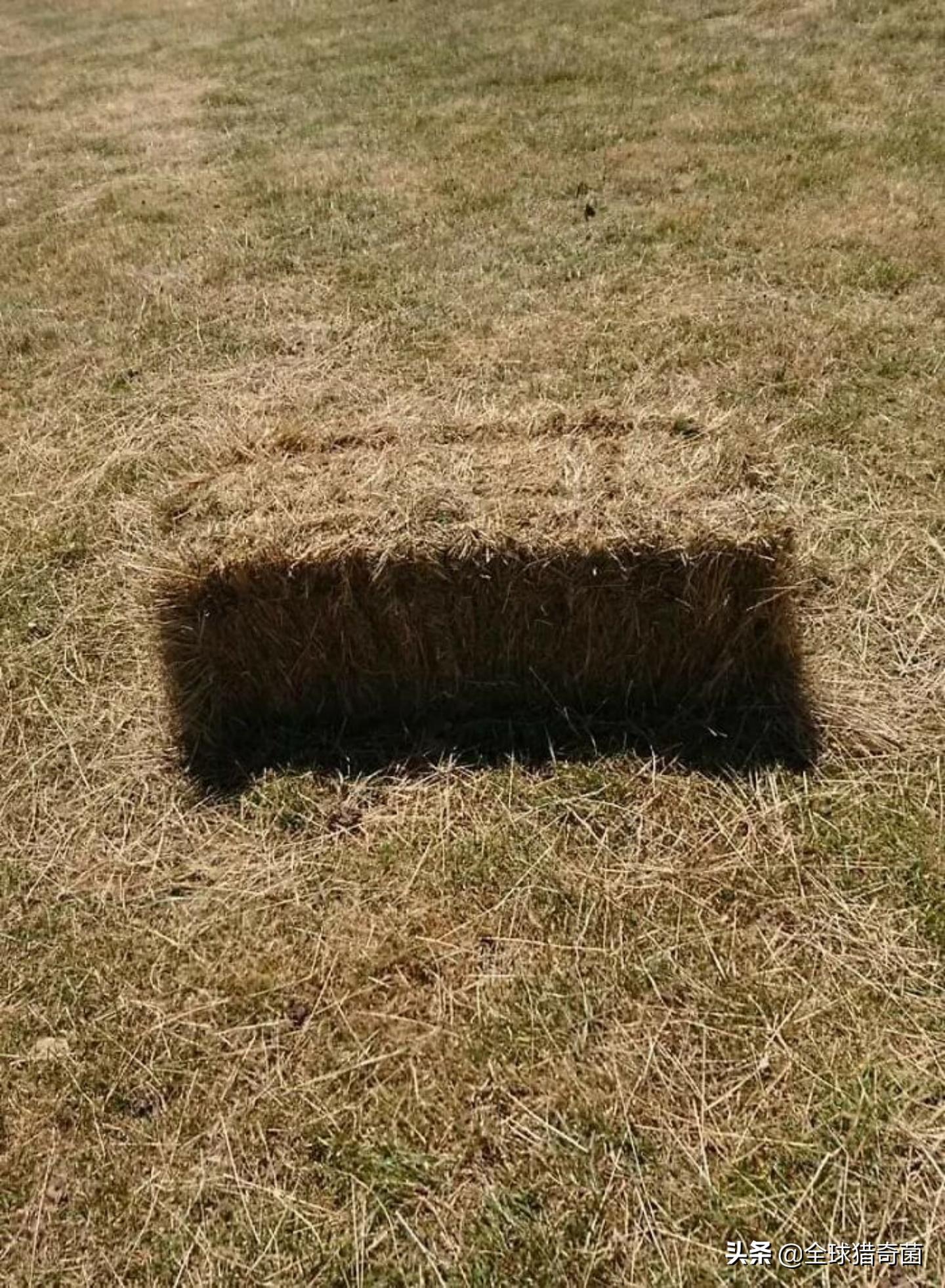 44张难以置信的图片,45张令人难以置信的图