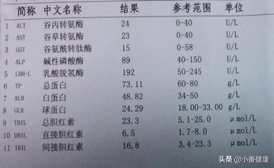 乙肝保肝治疗几天肝功能能恢复,乙肝吃药没效果