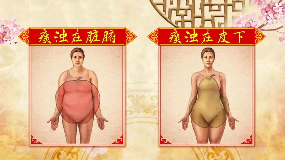 手法调理小肚子肥胖,腹部肥胖是百病之根