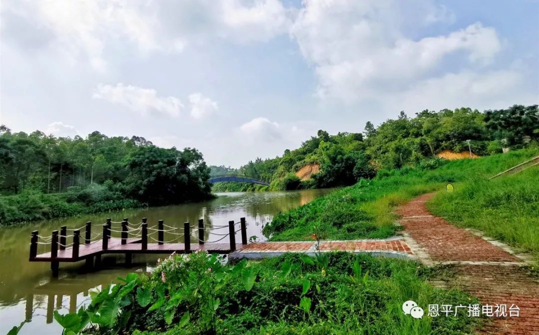 恩平市城镇最新规划项目,恩平森林小镇