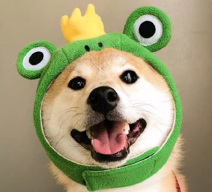 你知道的最有创意的生日趴是什么,如何轻松搞定仪式感满满的生日趴