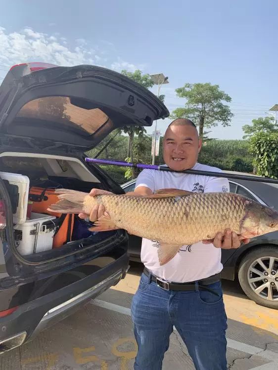 神鹤轻强硬评测,本汀神鹤轻强硬6.3米